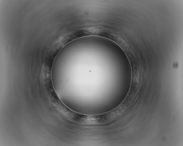 X0000090780518200707201526