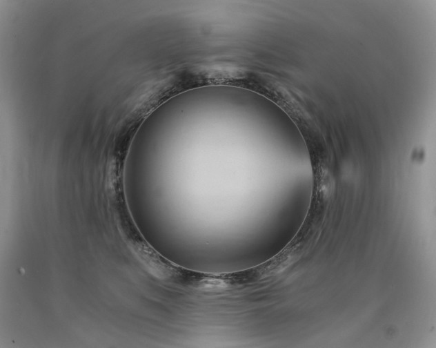 X0000090780519200707201526
