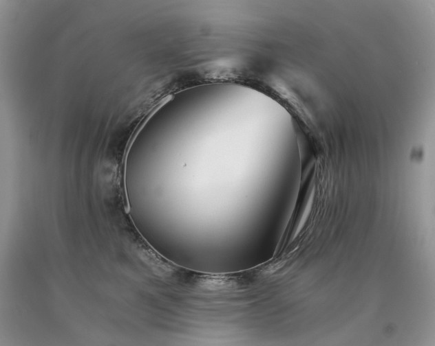 X0000090780521200707201526