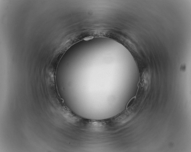 X0000090780522200707201526