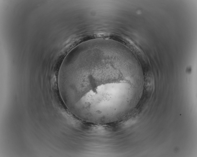 X0000090780523200707201526