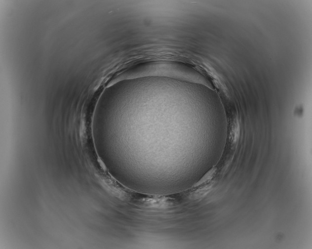 X0000090780524200707201526