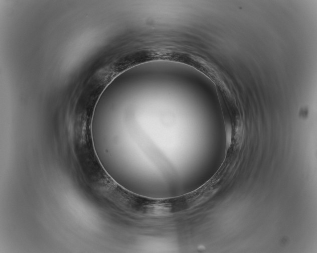 X0000090780525200707201526