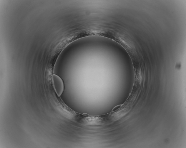 X0000090780526200707201526