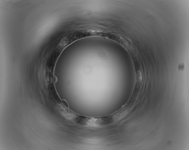 X0000090780527200707201526