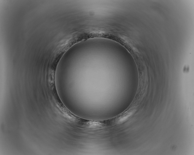 X0000090780528200707201526