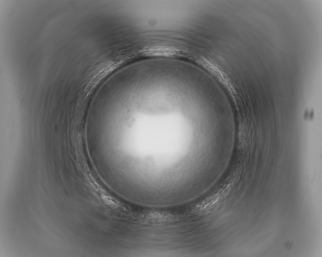 X0000090780529200707201525