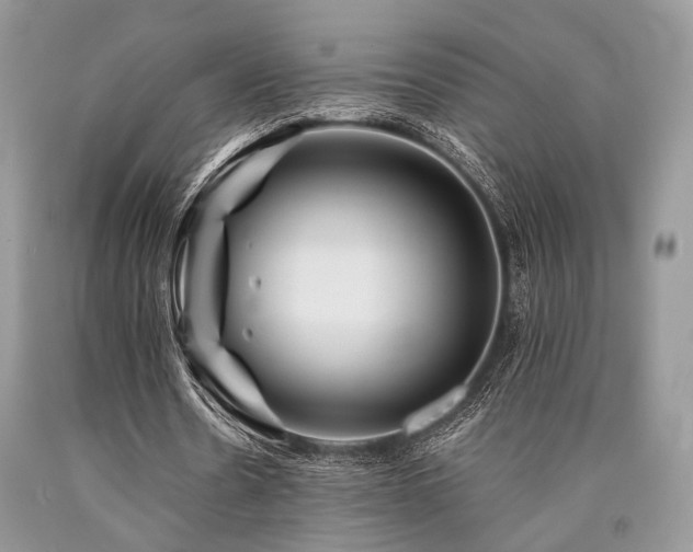 X0000090780530200707201525
