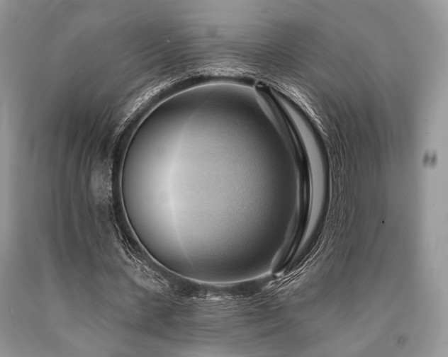 X0000090780531200707201525