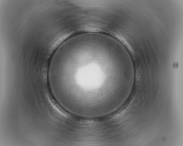 X0000090780533200707201525