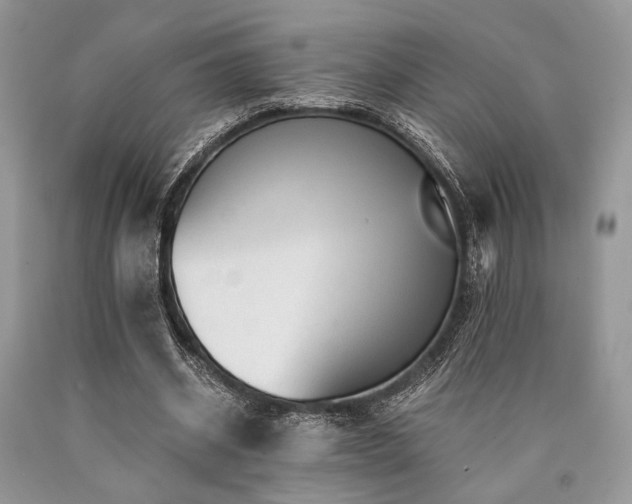 X0000090780534200707201525
