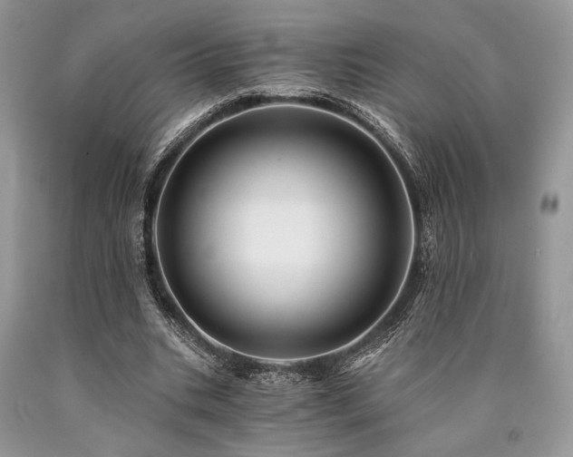 X0000090780535200707201525