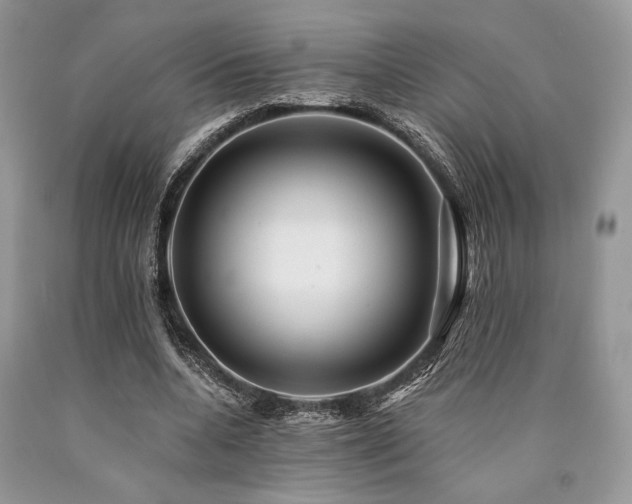 X0000090780536200707201525
