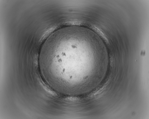 X0000090780537200707201525
