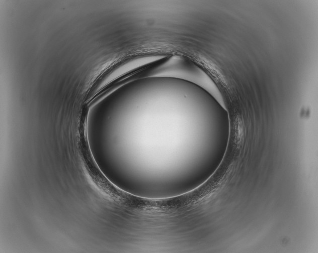 X0000090780538200707201525