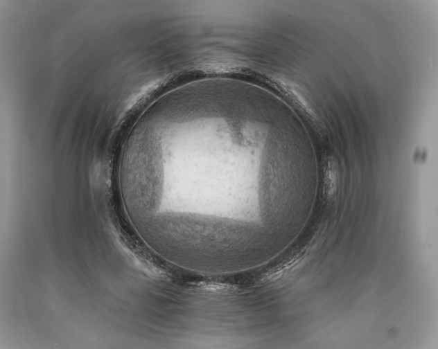 X0000090780539200707201525