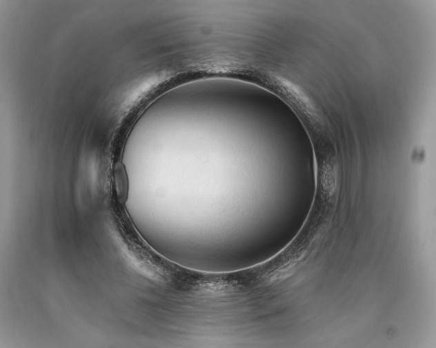 X0000090780540200707201525