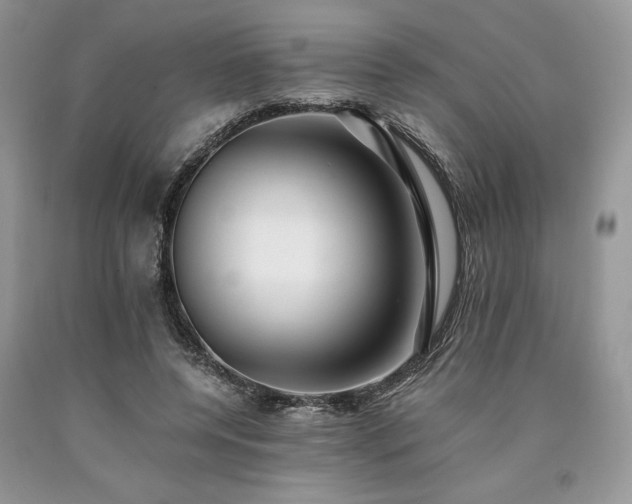 X0000090780544200707201525