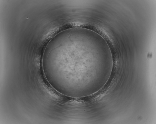 X0000090780545200707201525