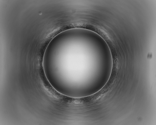 X0000090780546200707201525