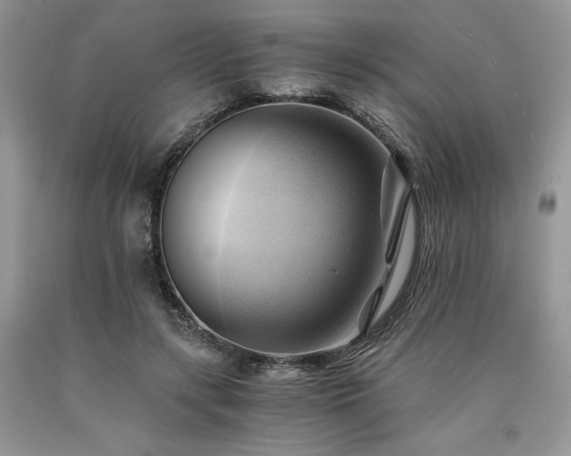 X0000090780547200707201525