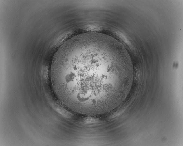 X0000090780549200707201525