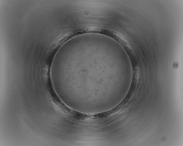 X0000090780550200707201525