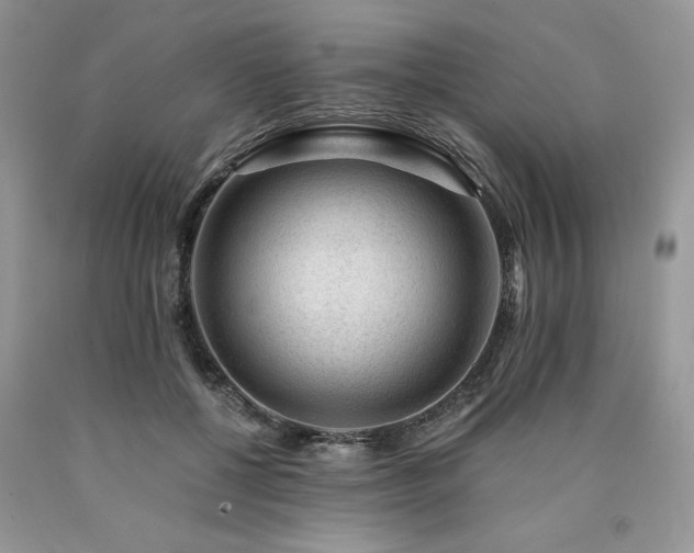 X0000090780552200707201525