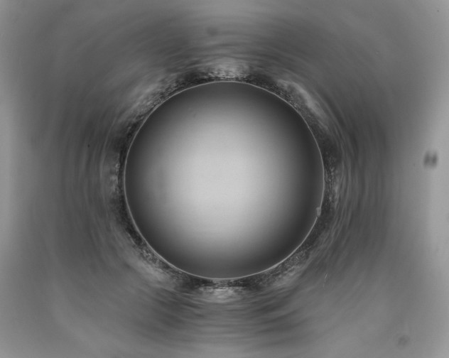 X0000090780553200707201525