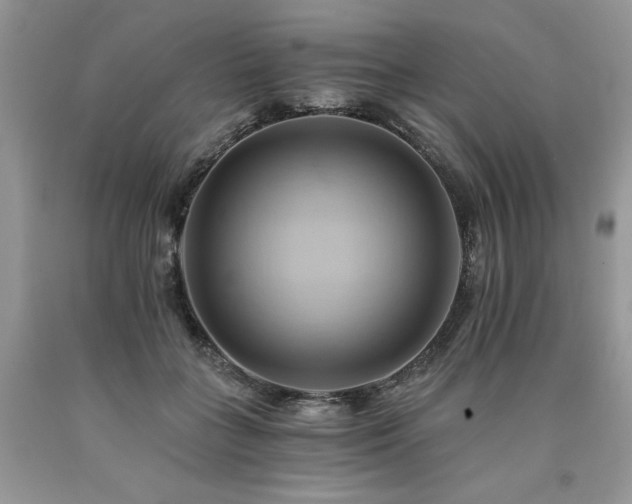 X0000090780555200707201525
