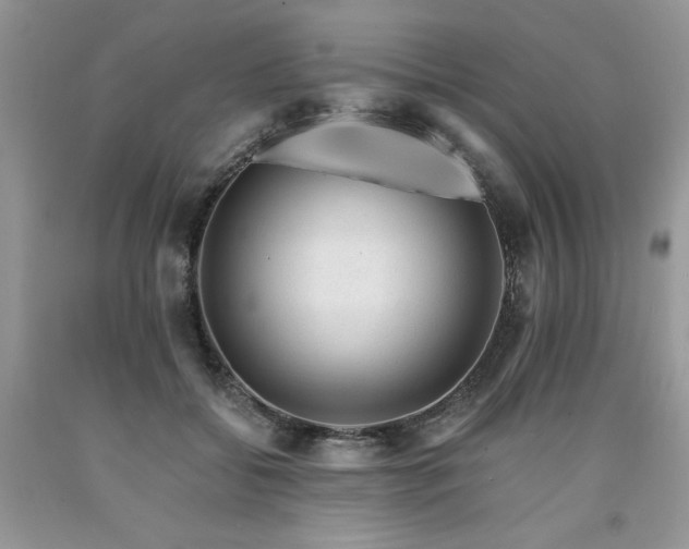 X0000090780556200707201525