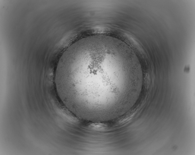 X0000090780557200707201525