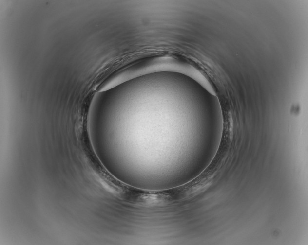 X0000090780558200707201525