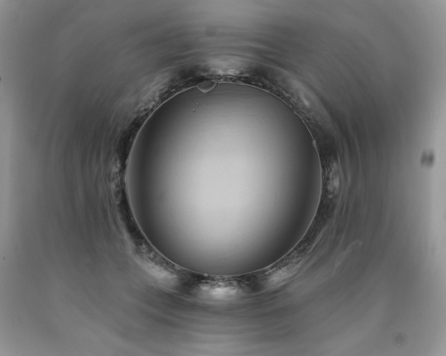 X0000090780559200707201526
