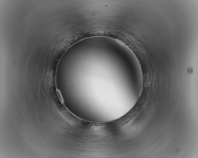 X0000090780560200707201526