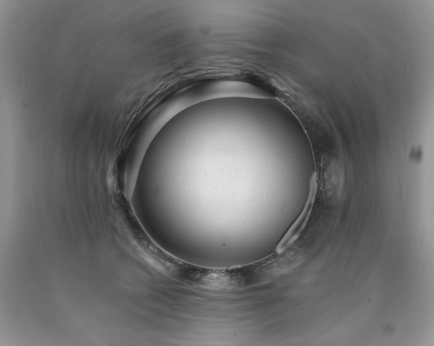 X0000090780562200707201526