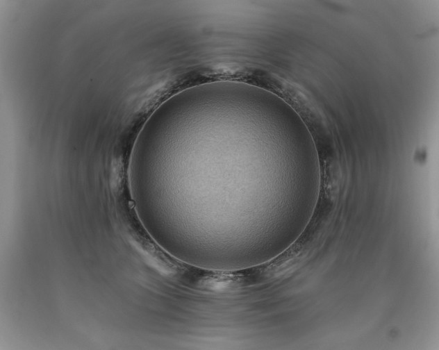 X0000090780563200707201526