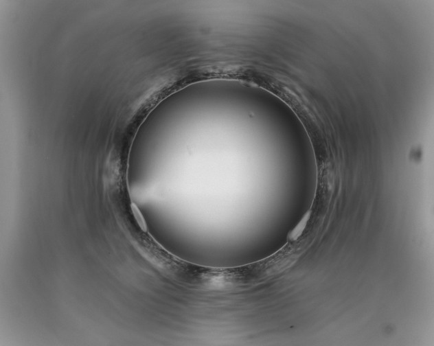 X0000090780564200707201526
