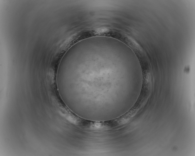 X0000090780565200707201526