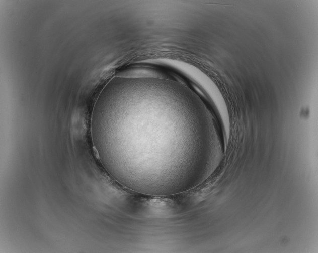 X0000090780566200707201526