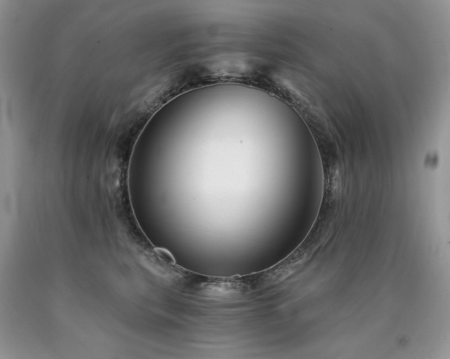 X0000090780567200707201526