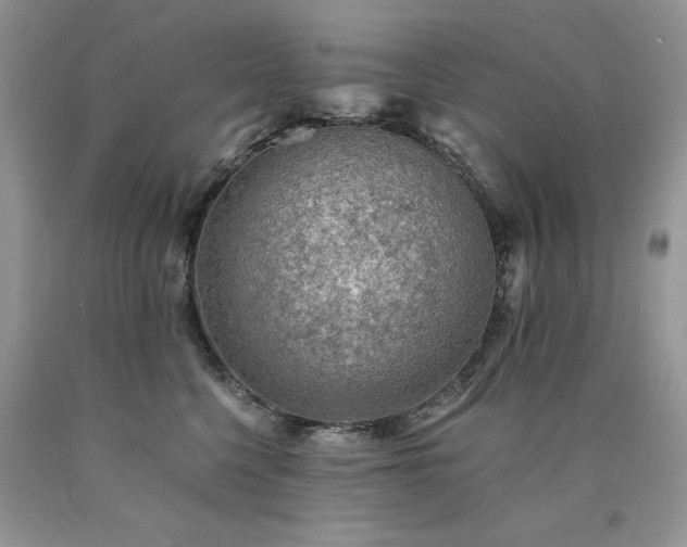 X0000090780568200707201526