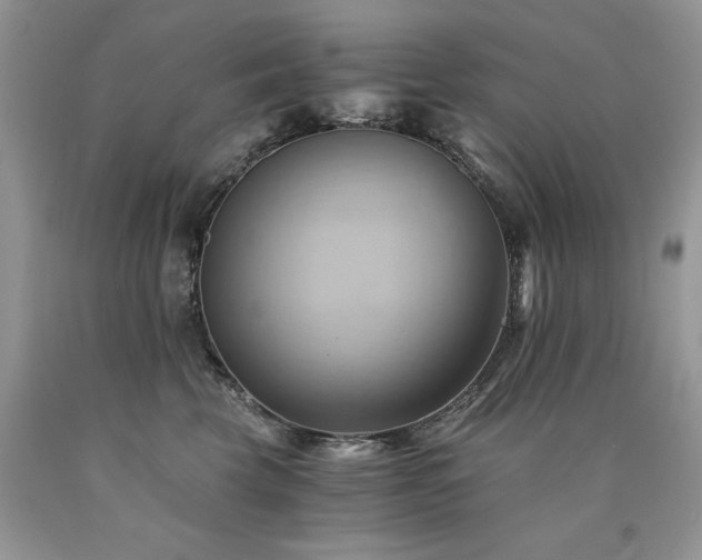 X0000090780569200707201526