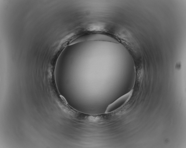 X0000090780570200707201526