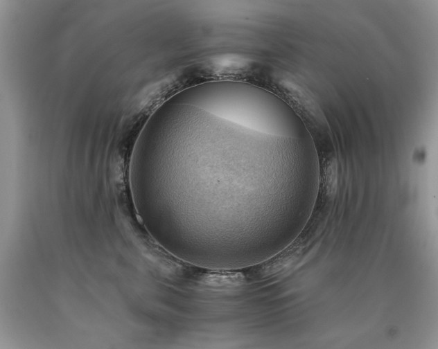 X0000090780571200707201526