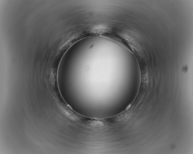 X0000090780572200707201526