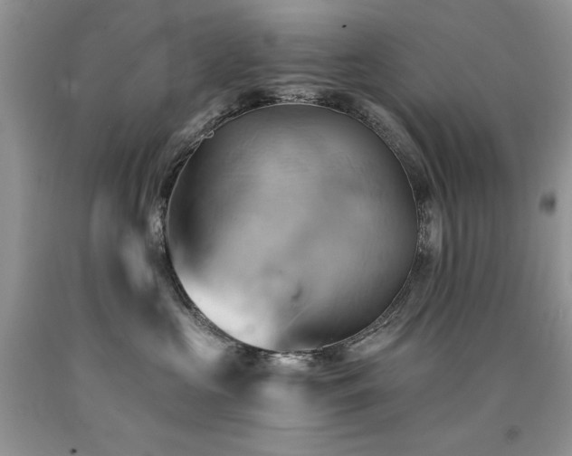 X0000090780573200707201526