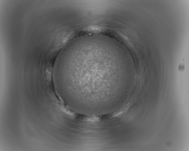 X0000090780576200707201526
