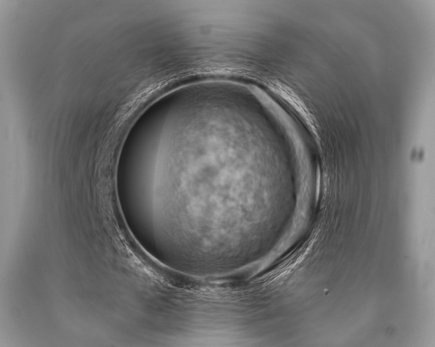 X0000090780577200707201525