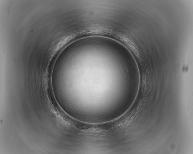 X0000090780578200707201525